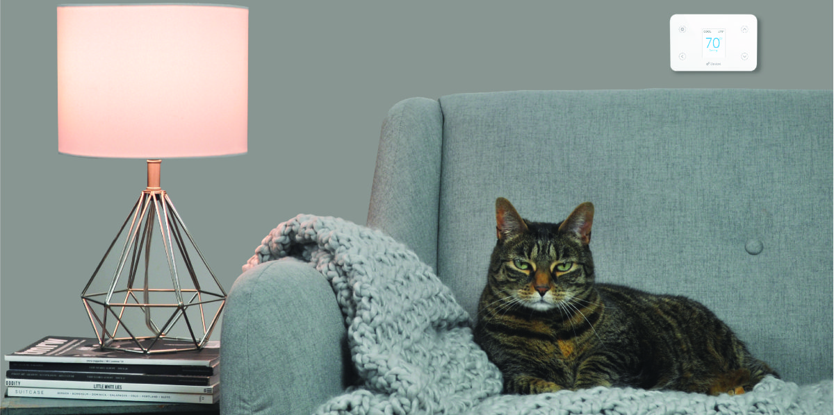 iDevices News, 2 IFTTT Applets to keep your pets cool and safe this summer